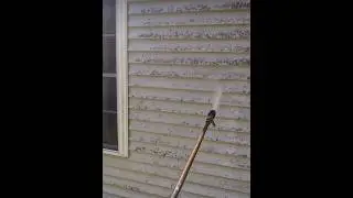 Melting lichen of this house