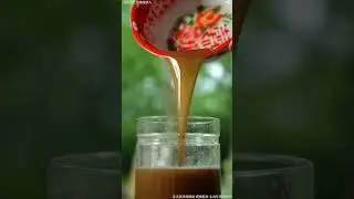 Grain brewing (Beer crayfish, sucking snails, full of summer ritual feeling)