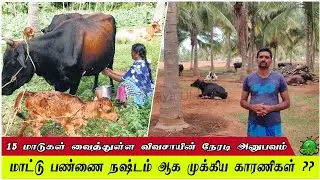 மாட்டு பண்ணை நஷ்டம் ஆக மிகமுக்கிய காரணிகள் / 15 மாடுகள் வைத்துள்ள விவசாயின் நேரடி அனுபவம் ??