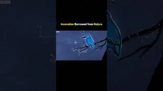 loud sound changed as a bird's mouth...