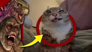 Ranking The FUNNIEST TikToks