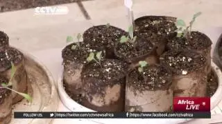 South Africa uses earthworms to recycle organic waste in