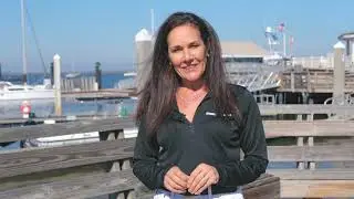 All About Amelia - Downtown Marina
