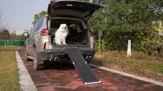 Coziwow 63&Prime; L High Flexibility Portable Bi-Fold Outdoor Dog Ramp | CW12K0492