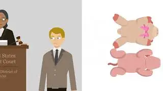 Ty, Inc. v. GMA Accessories, Inc. Case Brief Summary | Law Case Explained