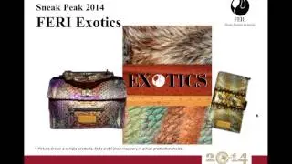GWT New Years Mega Webinar 2014