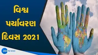 World Environment Day News | Green Man Of Surat | Viral Deasi Surat's Green Man | Gujarat News