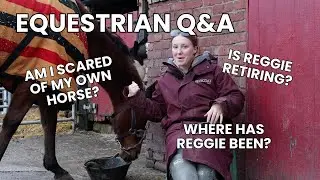 Я БОЮСЬ СВОЕЙ СОБСТВЕННОЙ ЛОШАДИ?! | Вопросы и ответы по конному спорту | Поговорим о Реджи | Лил...
