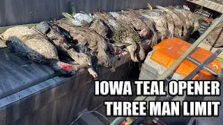 2025 IOWA TEAL OPENER | THREE MAN LIMIT | CATCH & COOK | Clarks Outdoors