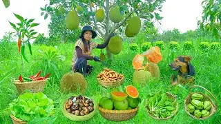 Harvest: Red-Fleshed Jackfruit, Red-Fleshed Orange, Vegetable, Black Apple Snail Goes To Market Sell