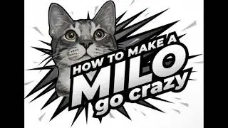 How to Make a Milo Go Crazy- Official Theme Song!