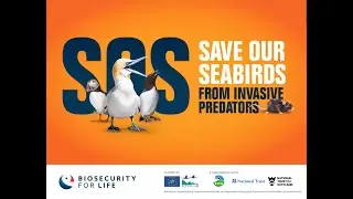 Save Our Seabirds with Tessa Coledale