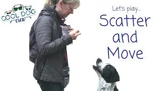 Scatter and Move: Teach Your Dog to Focus and Return Quickly