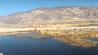Lower Owens Valley Duck Hunting | GGAMBIT #shorts #waterfowl #duckhunting #owensvalley #owensriver
