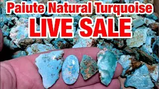 Bonus Round! Paiute Natural LIVE SALE