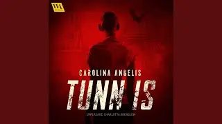 Chapter 62.3 - Tunn is