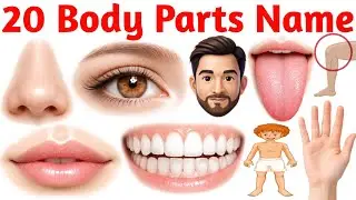 20 शरीर के अंगों के नाम सीखें | 20 Body Parts Names in English for Kids Vocabulary Learning