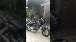 meng herexx #cbsemarang #fypシ゚viral #fyptiktok #cjdw #herex #herextrondol #cbpolice #shorts #shorts