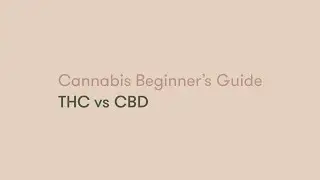 Olli / Cannabis Beginner's Guide: THC vs CBD