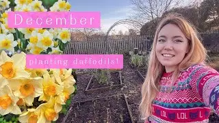 December on the Plot & End of Year Tour | Allotment Vlog 🌼 Ep.77 🌼