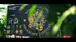 Live Setting Bali Regional Aquascape Contest 2020