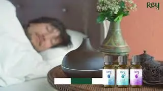 Rey Naturals Aroma Diffuser Oil Combo| 3 Aromatherapy Essential Oil Combo