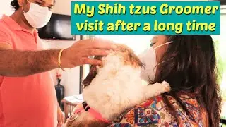 Groomer Visit After A Long Time