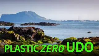 【ENG】Reusable Container Project for a Plastic-Free Jeju💚