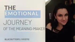 The Emotional Journey of the Meaning Maker 