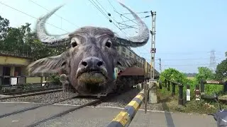 Dangerous Buffalo Headed Puri - Kamakhya Express Furious Moving Throughout at Railgate 