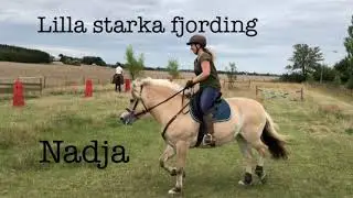 Lite hoppning p&aring; s&ouml;t fjording