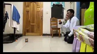 Projectile Motion (Beer Pong)