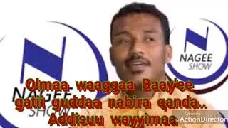 Olmaa waggaa Baay'ee ;Addisuu wayyima