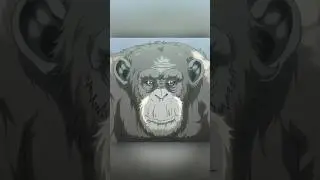 The humanzee's biological mother was far more intelligent than humans #shorts #anime #otaku