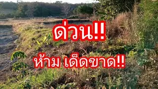 Urgent warning! Attention all farmers!