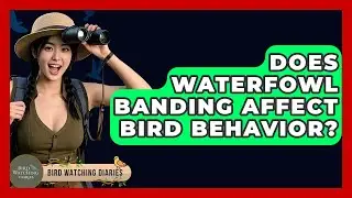 Does Waterfowl Banding Affect Bird Behavior? - Bird Watching Diaries