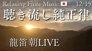 【純正律BGM】聴き流して癒される龍笛LIVE | Relaxing Flute Music Japan | 2025/12/15