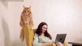 cat feline woman
