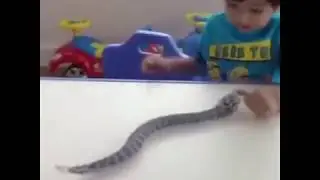 REMOTE CONTROL TOY SNAKE 2019