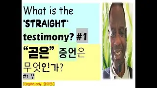 the  straight testimony advent message 1-only English