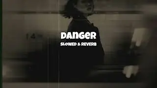 Danger - Slowed + Reverb | Param Sundari | Base-x-64