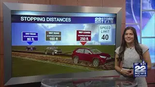 Wet fall weather: how to drive safely