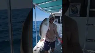 Second nature charters key west fla