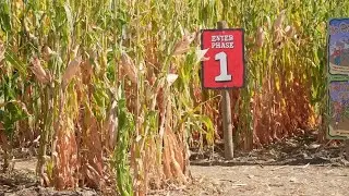 How do Montanans feel about the new fall season?