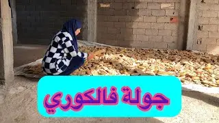 جولة فالكوري جمعتو ونقيتو ، ونشرنا الخبز للبهايم