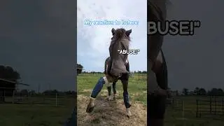 Walk the other way!😝#fyp #horse #equestrian #shorts #funny #haters #viral