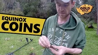 Finding coins with Minelab Equinox 800 Metal Detector