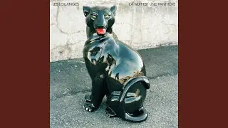 La nuit est une panthère