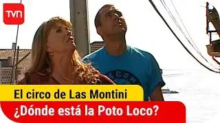 ¿Dónde está la Poto Loco? | El circo de Las Montini - T1E4