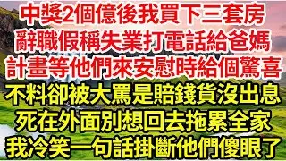 中獎2個億後我買下三套房，辭職假稱失業打電話給爸媽，計畫等他們來安慰時給個驚喜，不料卻被大罵是賠錢貨沒出息，死在外面別想回去拖累全家，我冷笑一句話掛斷他們傻眼了...#命運的相遇#為人處世#生活故事●